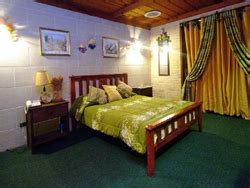 baguio bed and breakfast|forest bed and breakfast baguio.